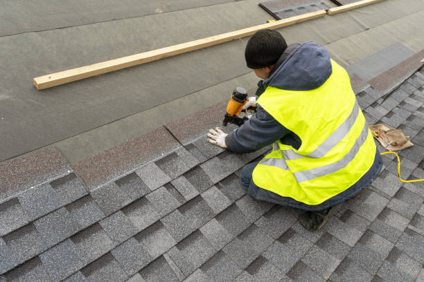 Best Metal Roofing Contractor  in Christopher, IL