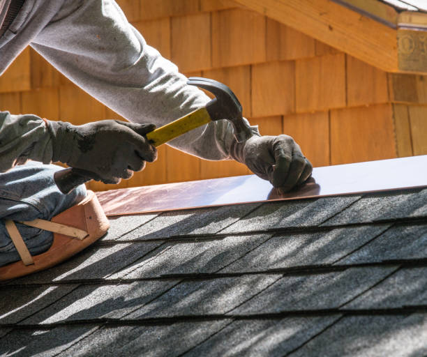 Best Storm Damage Roof Repair  in Christopher, IL